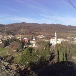 selva