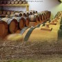 balsameria_casa_lovato_1