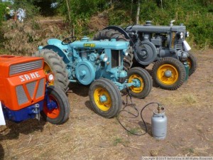 1a_festa_agricola_a_selva_di_trissino_2015_bellaselva.it_34